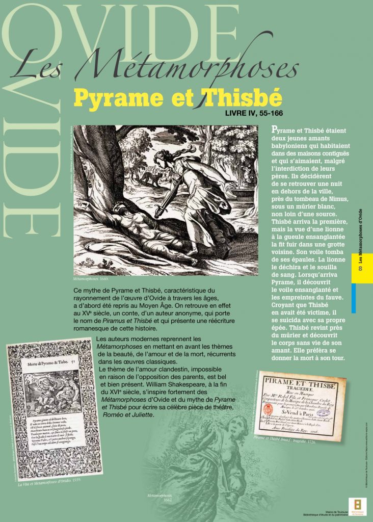 Les 16 Métamorphoses D Ovide Résumé