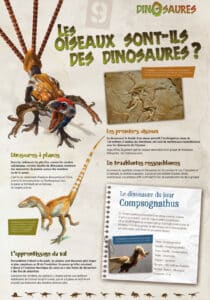 exposition itinérante jeunesse sur les dinosaures