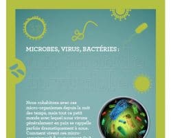 Microbes, virus, bactéries