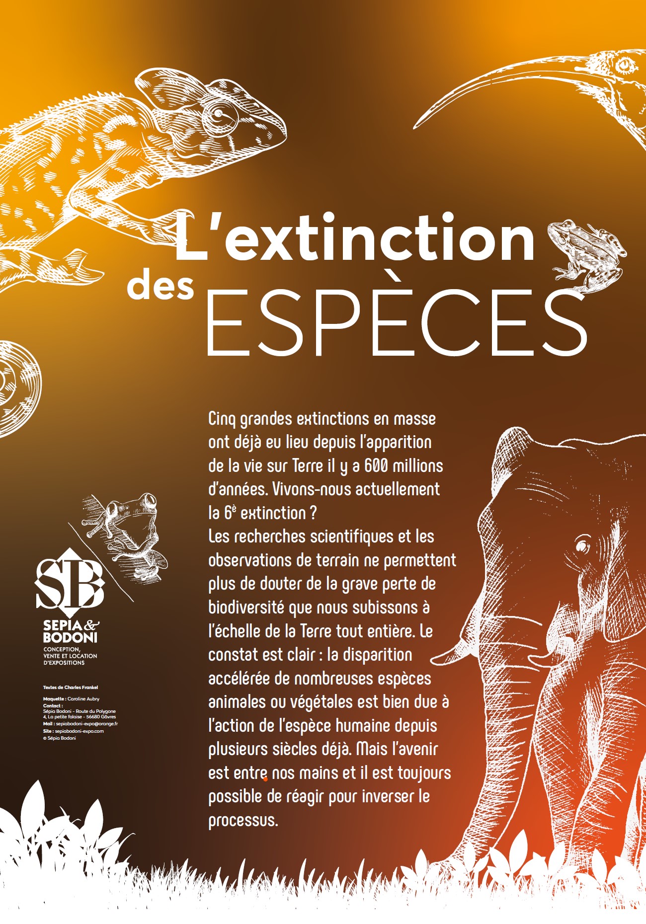 L’extinction des espèces